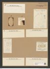 Diatomeae indet. Zeichnungen Sammlung Grunow Nr. 7765 (NHMW-BOT-W0376994)